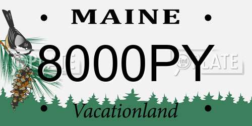 8000PY Maine License Plate