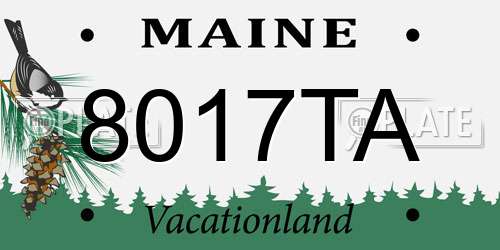 8017TA Maine License Plate