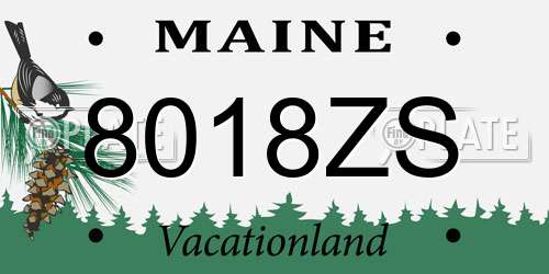 8018ZS Maine License Plate