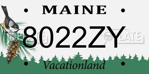 8022ZY Maine License Plate
