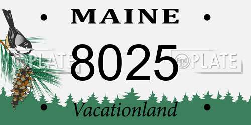 8025 Maine License Plate