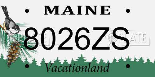 8026ZS Maine License Plate