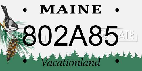 802A85 Maine License Plate