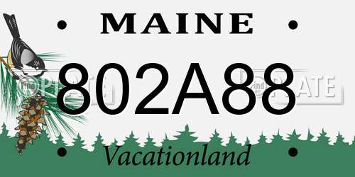802A88 Maine License Plate