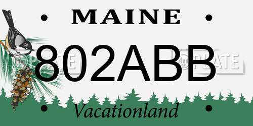802ABB Maine License Plate