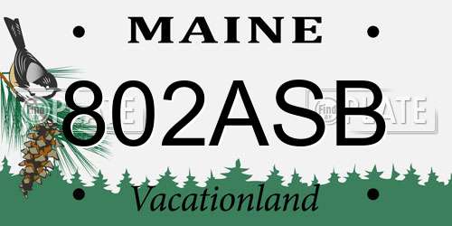 802ASB Maine License Plate