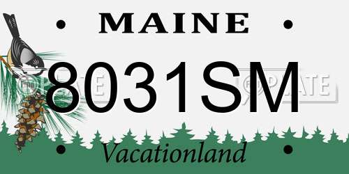 8031SM Maine License Plate