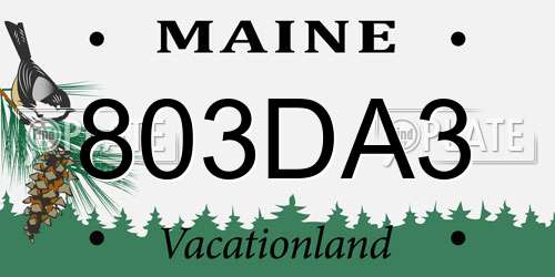 803DA3 Maine License Plate