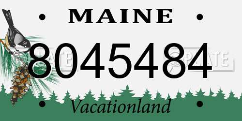 8045484 Maine License Plate