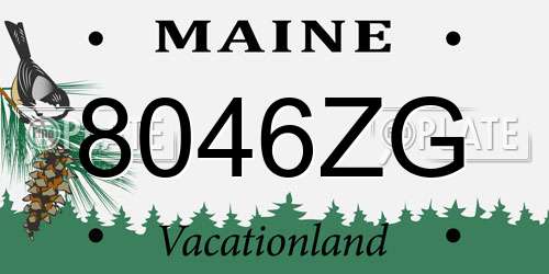 8046ZG Maine License Plate