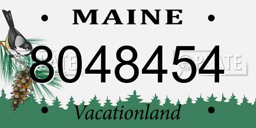 8048454 Maine License Plate
