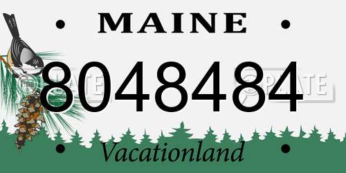 8048484 Maine License Plate
