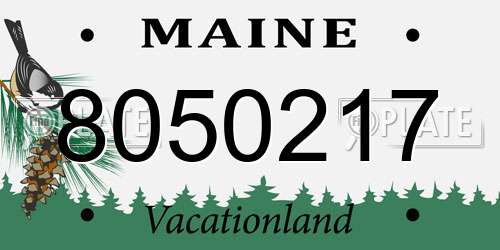 8050217 Maine License Plate