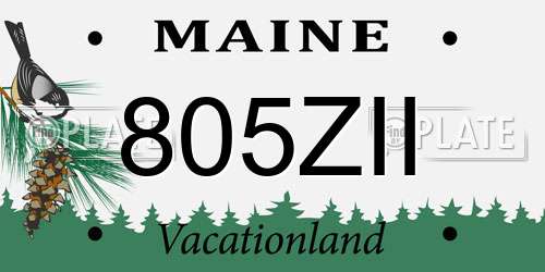 805ZII Maine License Plate