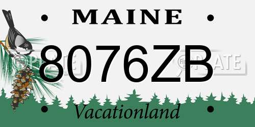 8076ZB Maine License Plate