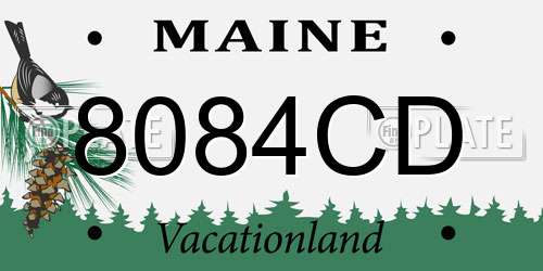 8084CD Maine License Plate