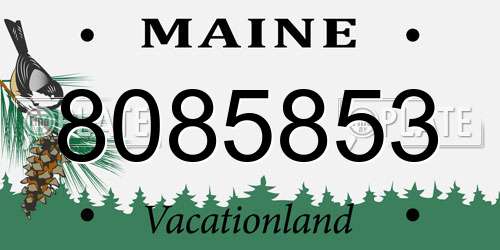 8085853 Maine License Plate