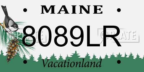 8089LR Maine License Plate
