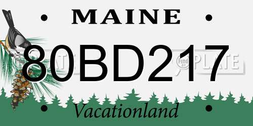 80BD217 Maine License Plate