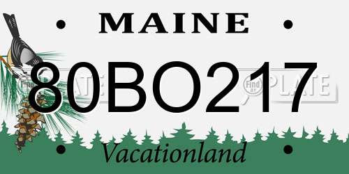 80BO217 Maine License Plate
