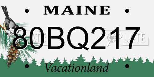 80BQ217 Maine License Plate