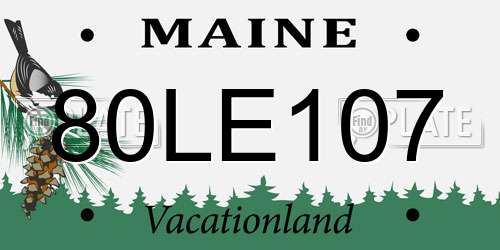 80LE107 Maine License Plate