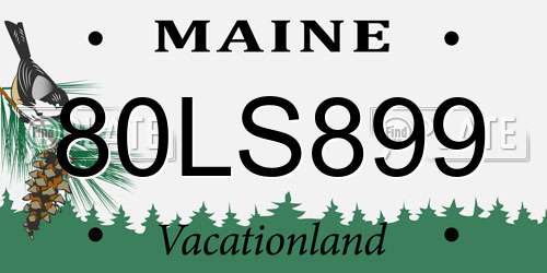 80LS899 Maine License Plate