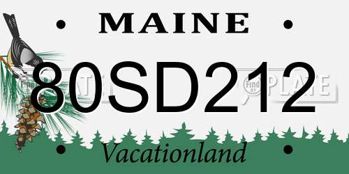 80SD212 Maine License Plate