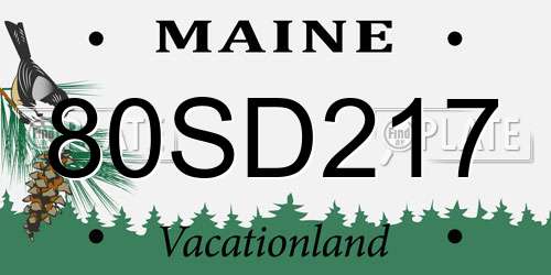 80SD217 Maine License Plate
