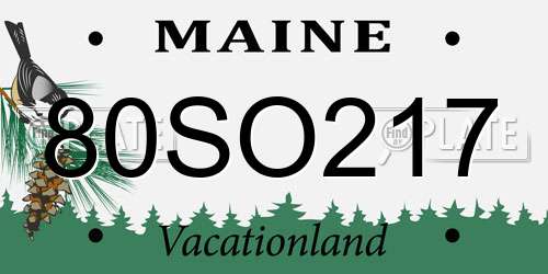 80SO217 Maine License Plate