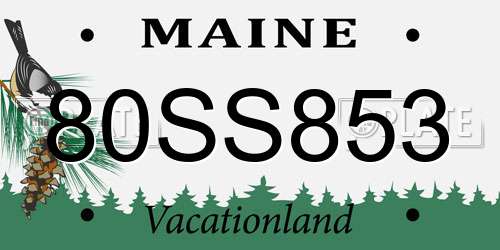 80SS853 Maine License Plate