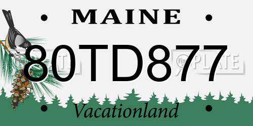 80TD877 Maine License Plate