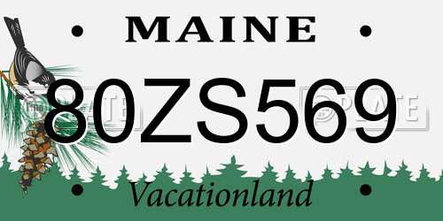 80ZS569 Maine License Plate