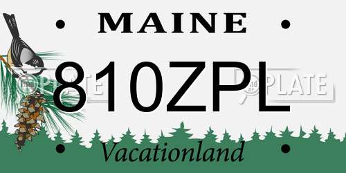 810ZPL Maine License Plate