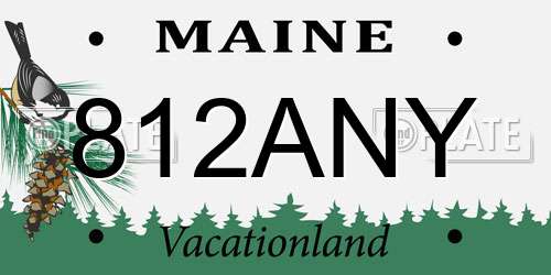 812ANY Maine License Plate