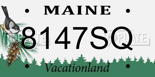 8147SQ Maine License Plate