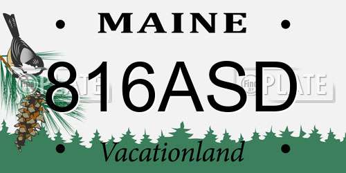 816ASD Maine License Plate