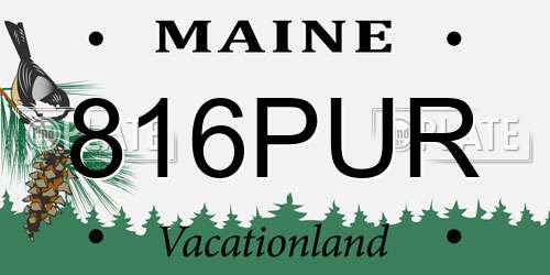 816PUR Maine License Plate