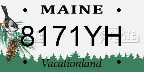 8171YH Maine License Plate