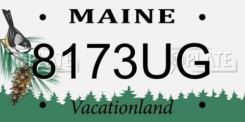 8173UG Maine License Plate