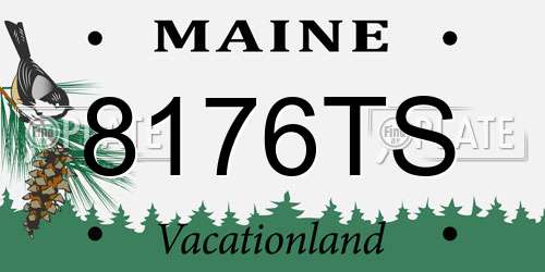 8176TS Maine License Plate