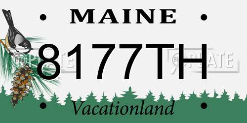 8177TH Maine License Plate