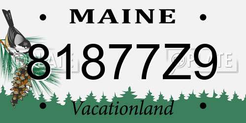 81877Z9 Maine License Plate