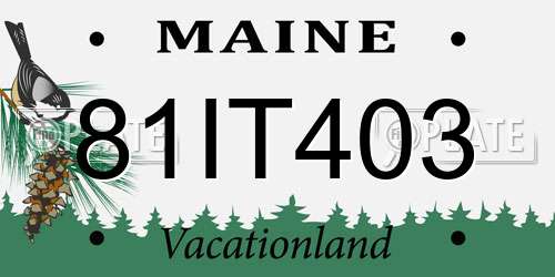 81IT403 Maine License Plate