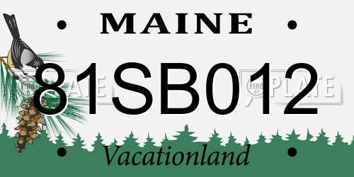 81SB012 Maine License Plate