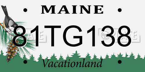 81TG138 Maine License Plate