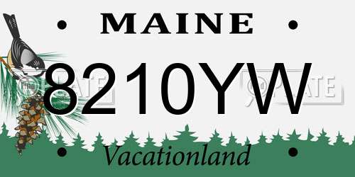 8210YW Maine License Plate