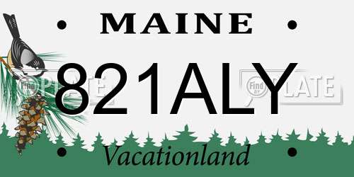 821ALY Maine License Plate