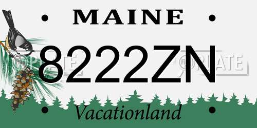 8222ZN Maine License Plate