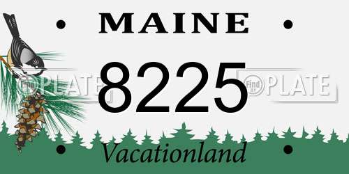 8225 Maine License Plate